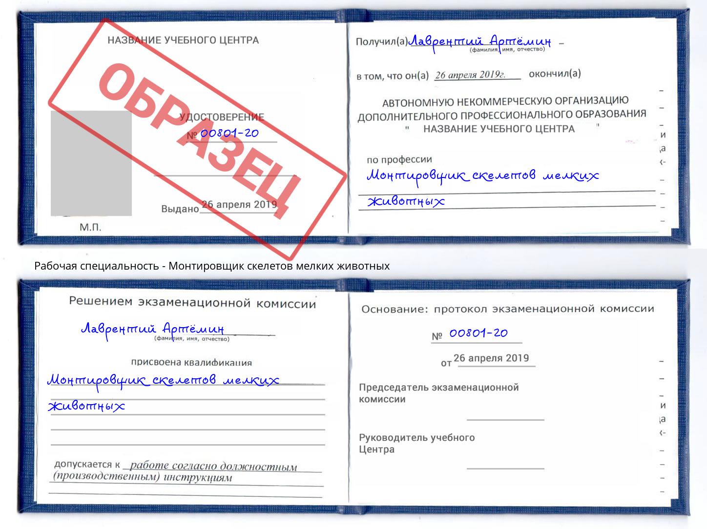 Монтировщик скелетов мелких животных Рославль