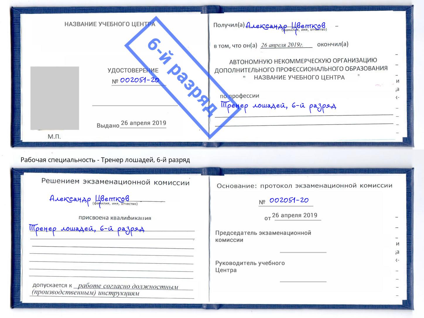 корочка 6-й разряд Тренер лошадей Рославль