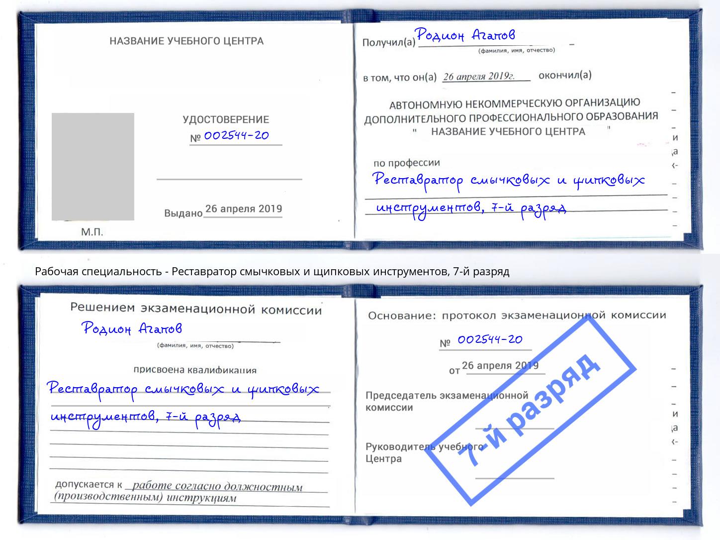 корочка 7-й разряд Реставратор смычковых и щипковых инструментов Рославль